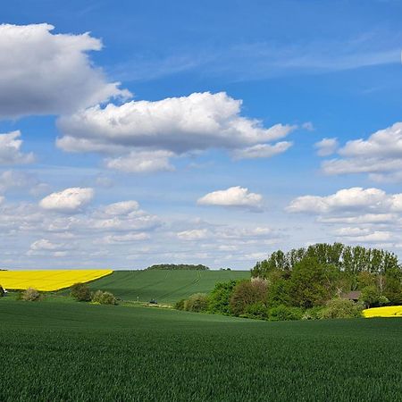 Grosszuegige Wohnung Am Comberg-Park Mettmann Buitenkant foto
