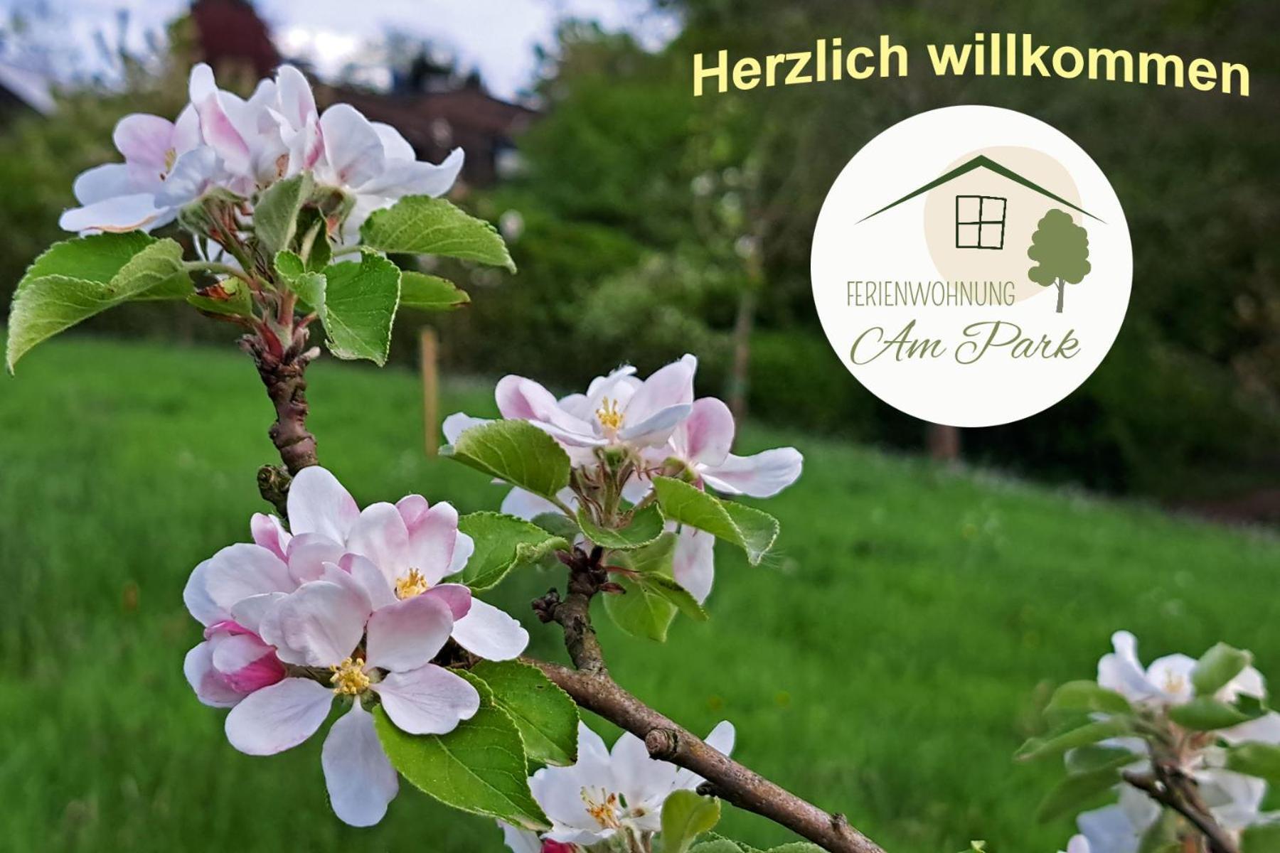 Grosszuegige Wohnung Am Comberg-Park Mettmann Buitenkant foto