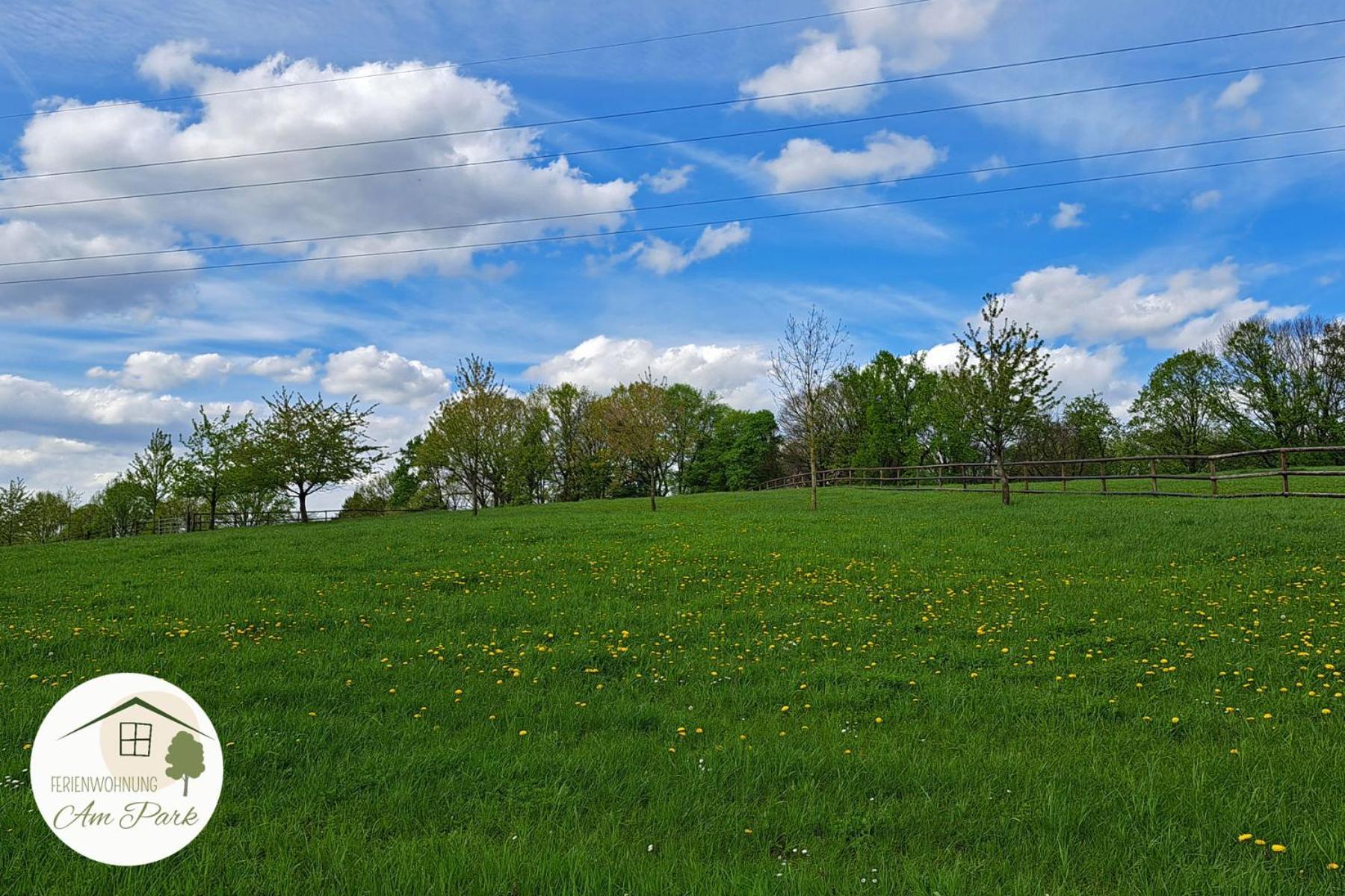 Grosszuegige Wohnung Am Comberg-Park Mettmann Buitenkant foto